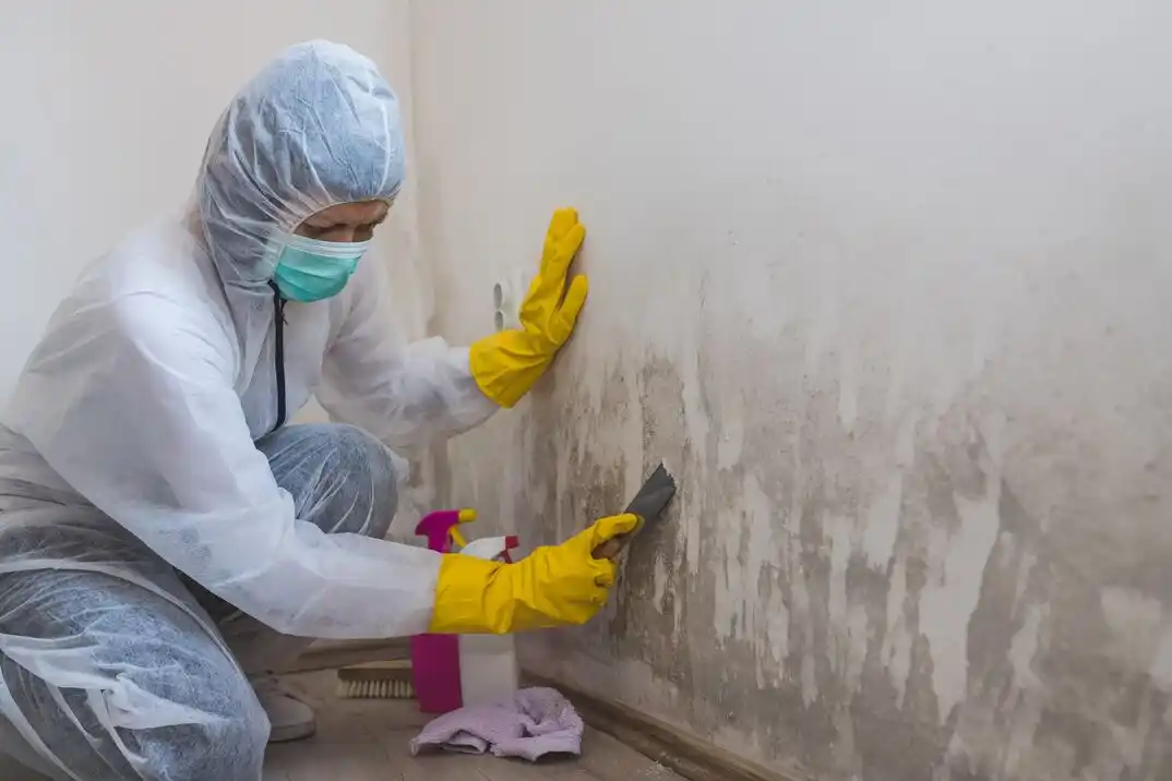water damage restoration service Valley Run